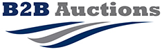 B2B Auctions